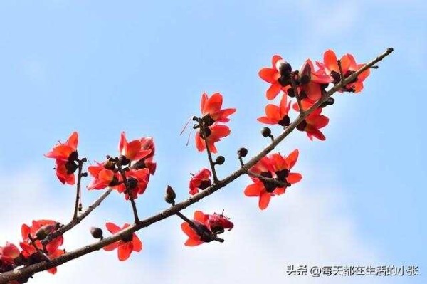 让生活更美好的24个习惯