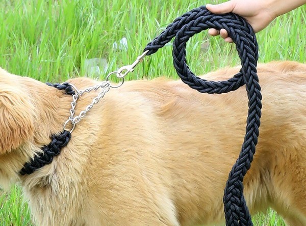 P 型项圈（宠物防护用品）