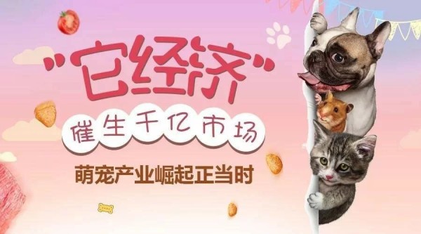 宠物经济（经济学概念）