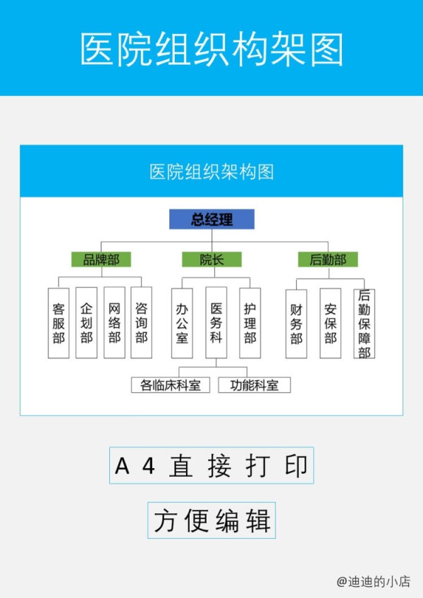 医院组织构架图word