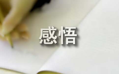 对生活工作的感悟