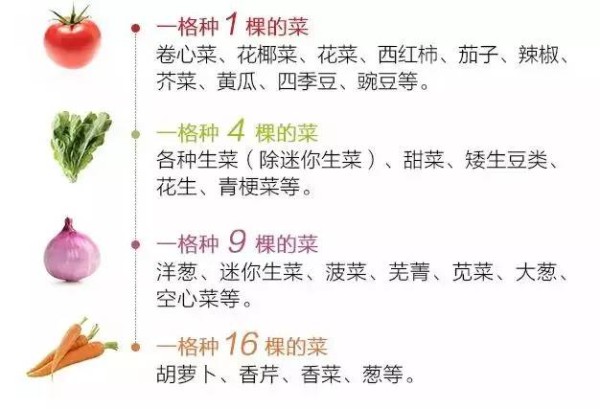 一米菜园：和孩子打造家庭农场