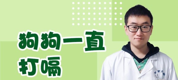 狗狗睡觉打嗝的原因和应对方法（宠物爱护小贴士，缓解狗狗打嗝的困扰）