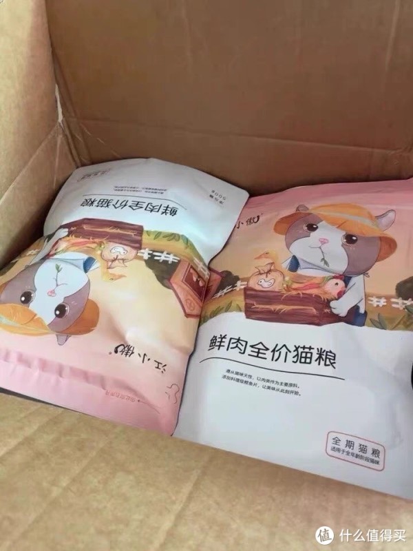 养猫小贴士:如何让你的猫咪健康快乐