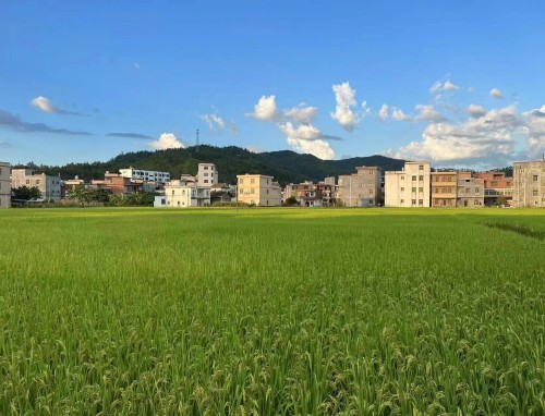 环保小知识资料大全