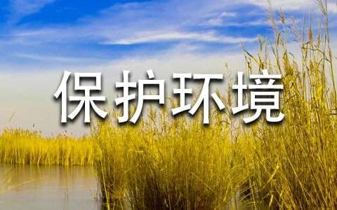 保护环境节约资源作文（通用25篇）