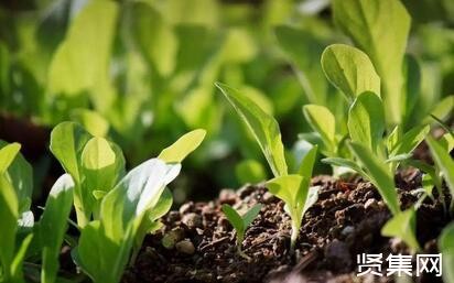 低碳生活小窍门，让你的生活进入到低碳行列省钱又环保