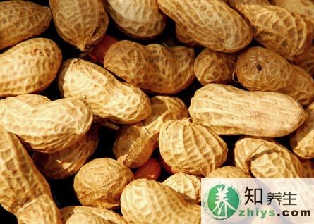 花生的养生作用有哪些,多吃花生功效及作用