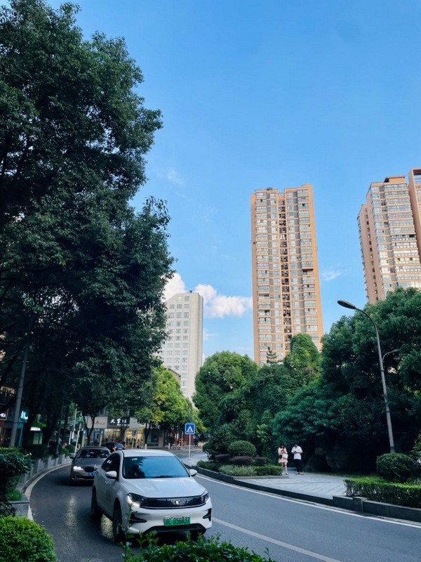 6、城区道路上行驶的新能源车辆。.jpg