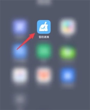 雪豹速清国际版