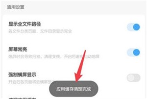 雪豹速清国际版