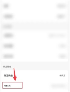 雪豹速清国际版
