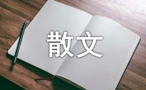 学会享受慢生活散文