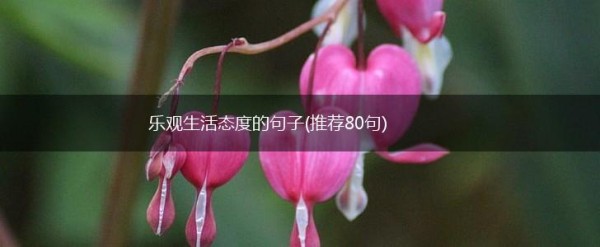 乐观生活态度的句子(推荐80句),第1张