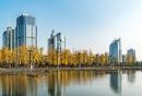 2024重庆两江幸福广场银杏观赏时间、地