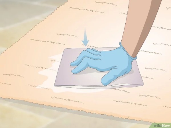 Step 4 用纸巾擦干地毯。