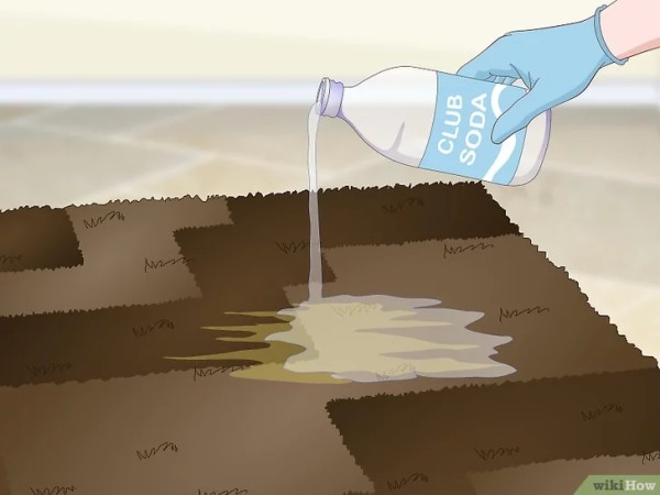 Step 1 将苏打水倒在整个尿渍上。