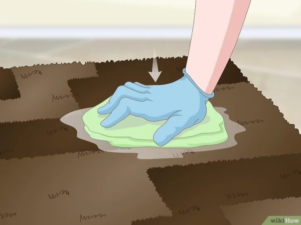 Step 2 用抹布或海绵吸干尿渍。