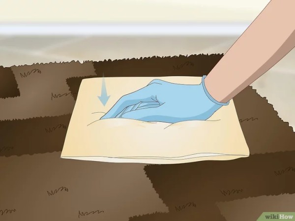 Step 3 用纸巾擦干尿渍处。