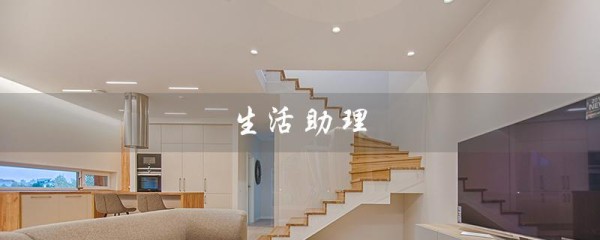 生活助理（什么是生活助理）