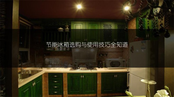 节能冰箱选购与使用技巧全知道