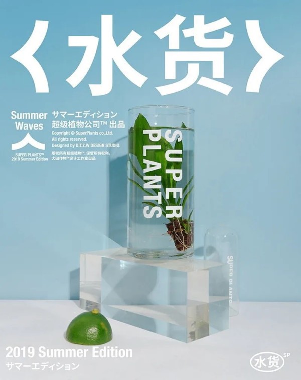提前透露2025年6大视觉设计趋势
