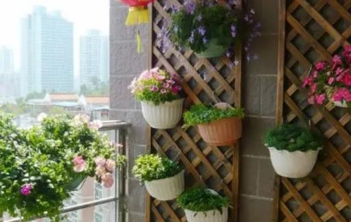 阳台种花注意什么