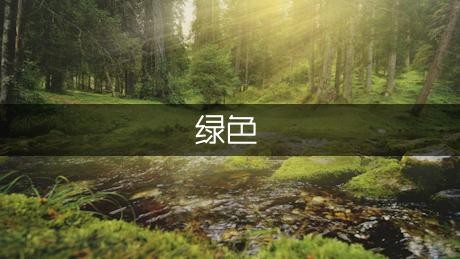 绿*环保的装修材料有哪些