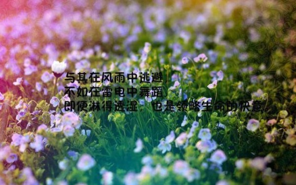 关于释放压力的说说（人生哲学：释放压力，轻松生活）