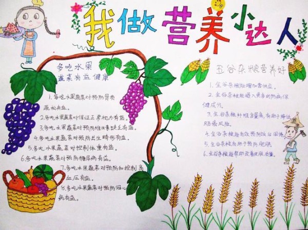 国家营养改善手抄报营养手抄报