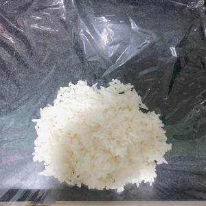 米饭冷冻保存/一人食之懒人小技巧的做法 步骤2