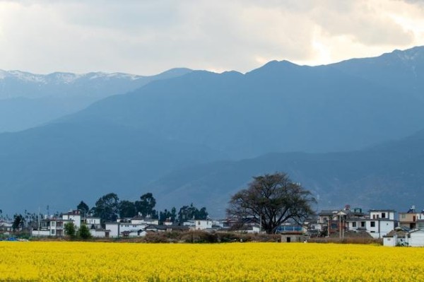 中国七大慢节奏生活城市,跟着当地人,过最惬意的慢生活