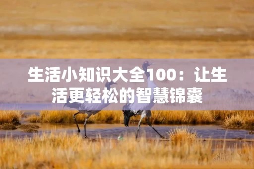 生活小知识大全100：让生活更轻松的智慧锦囊