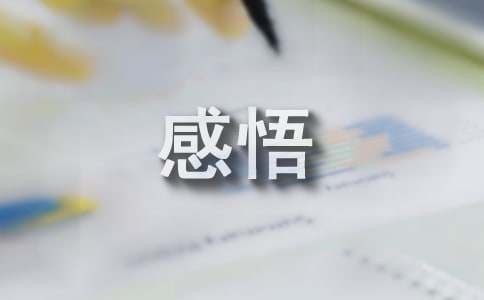 暑假生活社会实践收获与感悟（精选13篇）