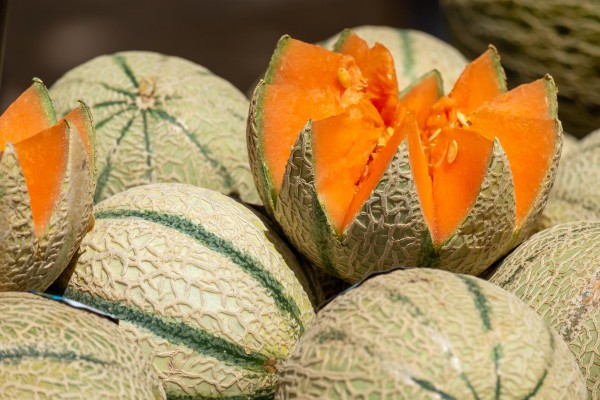 melon para dieta baja en proteinas
