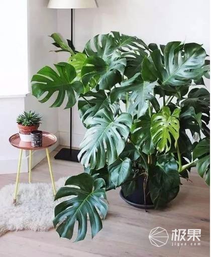 4种DIY装饰，瞬间让你家的客厅逼格提升10倍