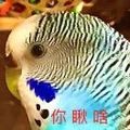 https://img.yuejiaxmz.com/upload/2024/1119/20241119082125_0_u52hqdr0.jpg