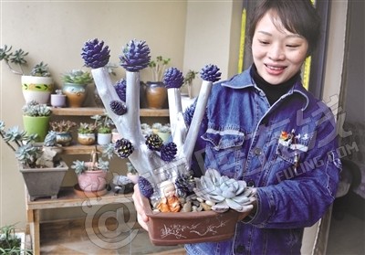 手工达人夫妇.jpg