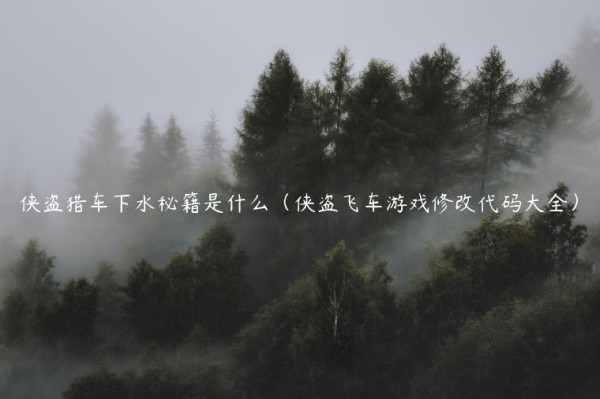侠盗猎车下水秘籍是什么（侠盗飞车游戏修改代码大全）