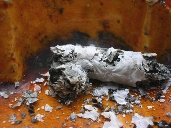 卫生间臭味散不掉？教你巧用几个除臭小物，即刻还你清香舒适环境