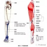 步行助力外骨骼机器人