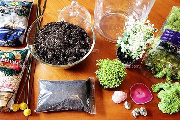 图解 怎么手工diy盆景制作的方法