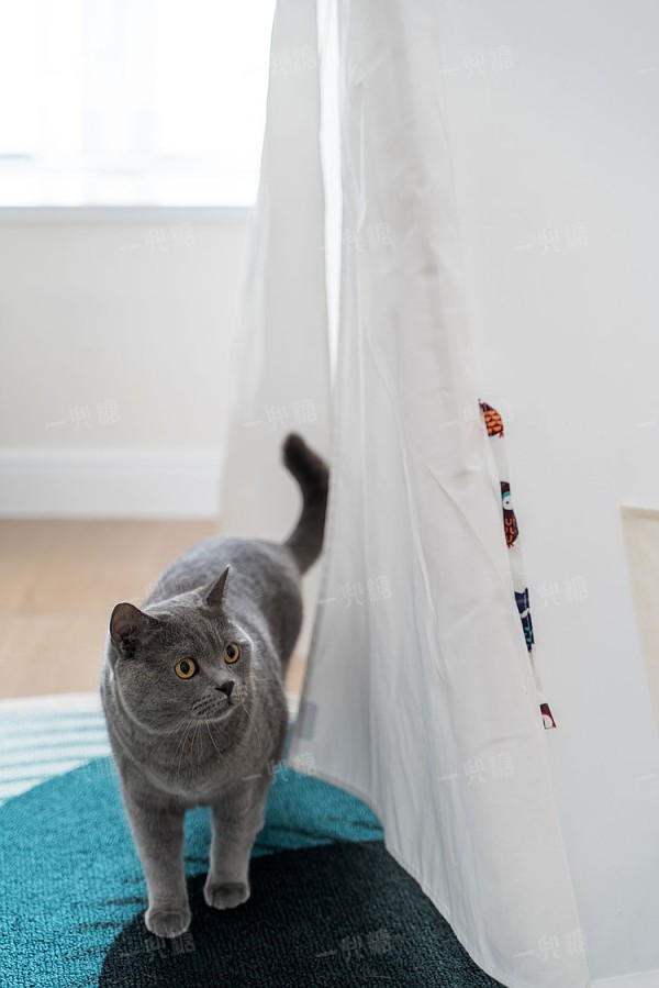 A7300166.jpg!710