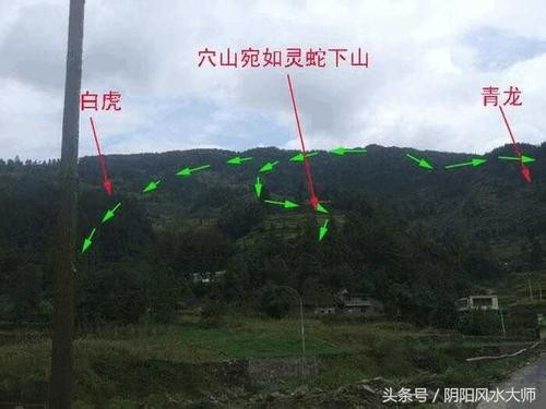 中国风水宝地与寻龙点穴的关系，有什么说法 韦冠城寻龙风水视频