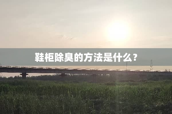 鞋柜除臭的方法是什么？