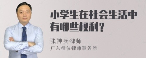 小学生在社会生活中有哪些权利?