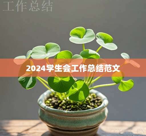 2024学生会工作总结范文