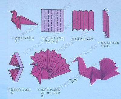 简单折纸孔雀图解