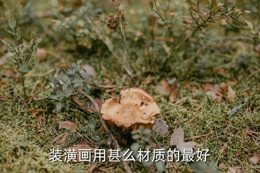 装潢画用甚么材质的最好