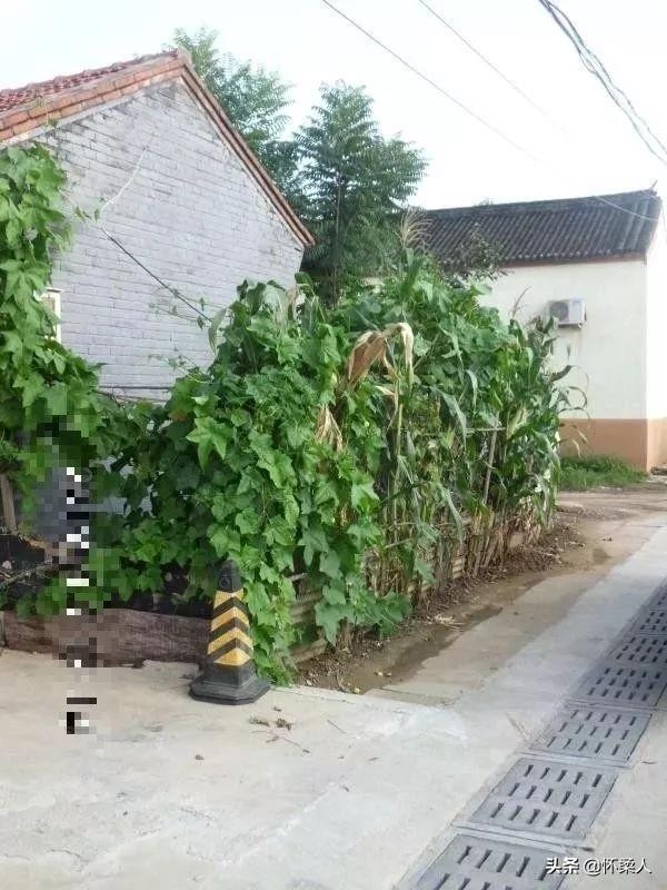 全方位人居环境艺术设计攻略：打造和谐适居住空间解决方案